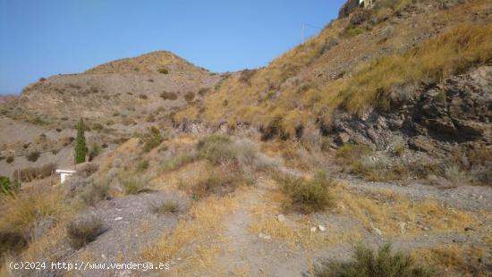 ESTUPENDO TERRENO EN TODOSOL - MURCIA