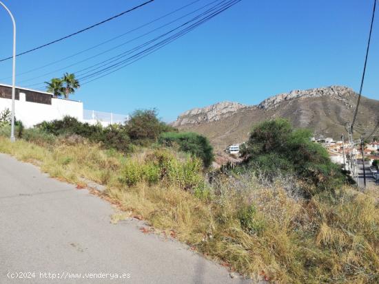  PARCELA EN CALABARDINA - MURCIA 