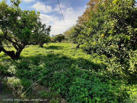 Estupendo Cortijo muy próximo al centro Lorca - MURCIA