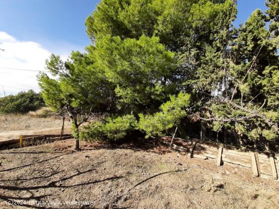 Estupendo Cortijo muy próximo al centro Lorca - MURCIA