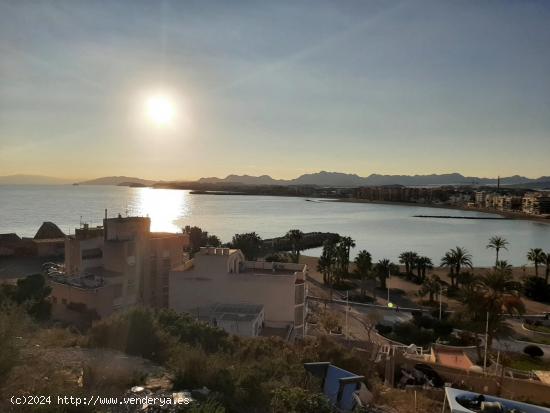 SOLAR EN ZONA DE LA COLONIA CON VISTAS - MURCIA