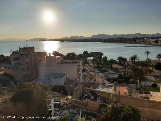 SOLAR EN ZONA DE LA COLONIA CON VISTAS - MURCIA