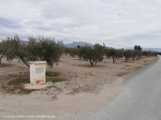 ESTUPENDA PARCELA EN EL ESPARRAGAL PARA CONSTRUCCION DE VIVIENDA - MURCIA