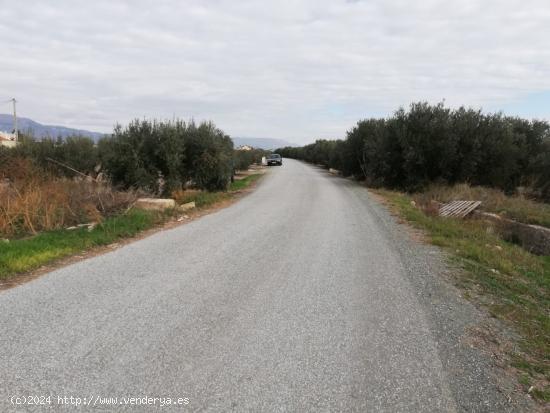 ESTUPENDA PARCELA EN EL ESPARRAGAL PARA CONSTRUCCION DE VIVIENDA - MURCIA