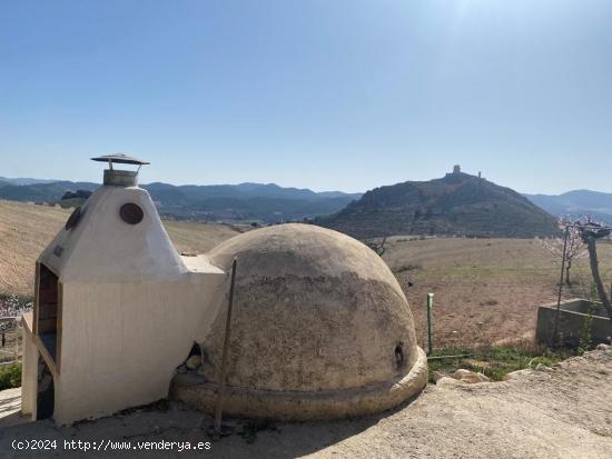 ESTUPENDA FINCA EN FONTANARES CON CASA RUSTICA - MURCIA