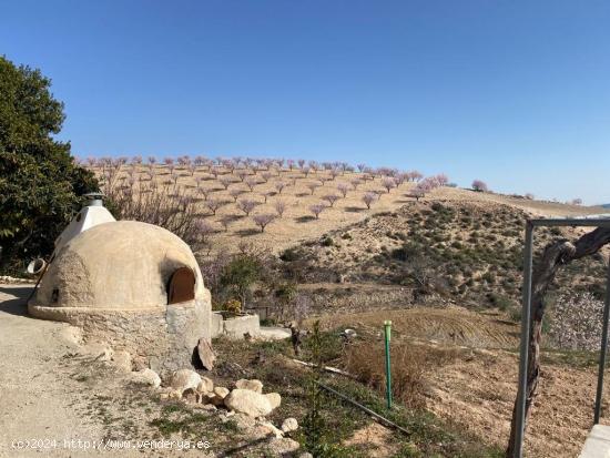 ESTUPENDA FINCA EN FONTANARES CON CASA RUSTICA - MURCIA