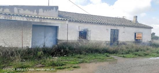  ESTUPENDA CASA CON TERRENO EN LA ESCUCHA - MURCIA 