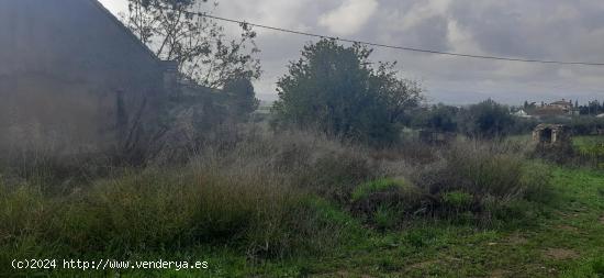 ESTUPENDA CASA CON TERRENO EN LA ESCUCHA - MURCIA