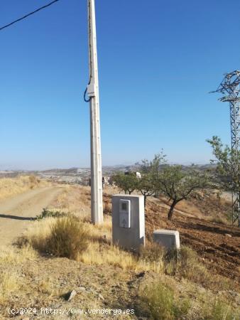 CASA DE CAMPO PARA REFORMAR EN FINCA DE 69.000M2 EN LA ZONA DE HENARES - MURCIA