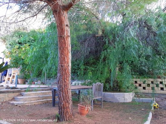 Bajo con 3 dormitorios y jardín en El Hornillo, Águilas - MURCIA