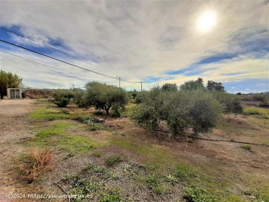 PARCELA EN LA TORRECILLA PARA EDIFICACION DE VIVIENDA UNIFAMILIAR - MURCIA