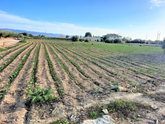 Parcela para construir vivienda unifamiliar en Cazalla - MURCIA