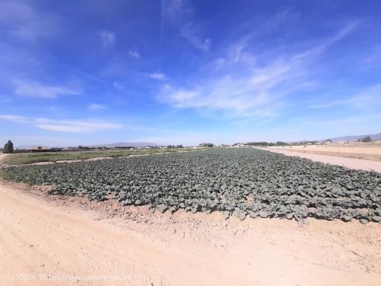 Parcela para construcción de vivienda unifamilia a 5 minutos de Lorca en zona de El Campillo - MURC