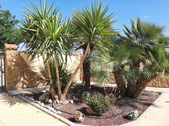 Casa de Campo de grandes dimensiones con Piscina en el Esparragal - MURCIA