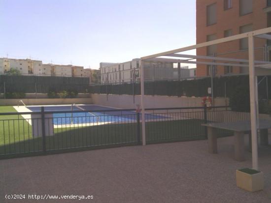 Piso con cuatro dormitorios, garaje y piscina comunitaria en zona de Universidad - MURCIA