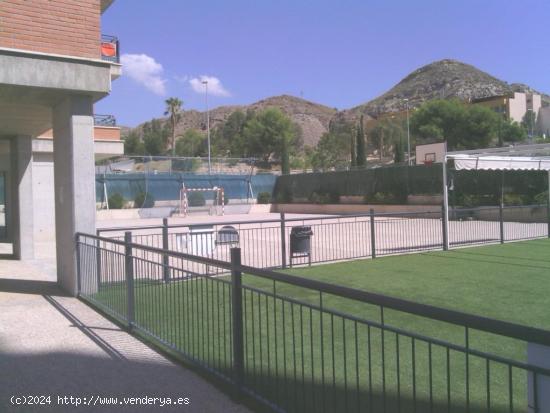 Piso con cuatro dormitorios, garaje y piscina comunitaria en zona de Universidad - MURCIA