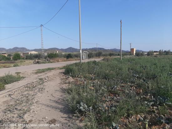 Casa de Campo de grandes dimensiones con garaje en zona de El Esparragal - MURCIA