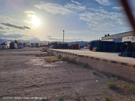 Parcela en el polígono Industrial de 14.000 mts2 - MURCIA