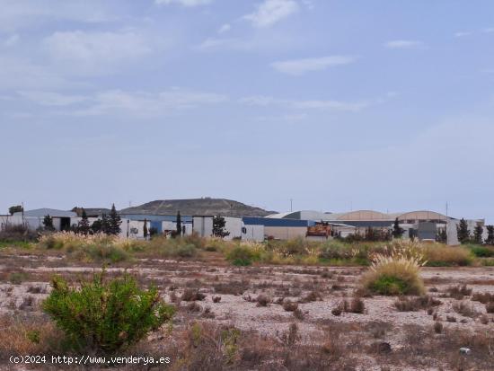 Parcela en el polígono Industrial de 14.000 mts2 - MURCIA