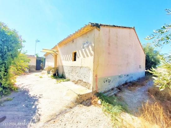 Casa de Campo con Parcela de 7.000m2, en Marchena - MURCIA