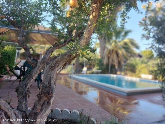 Casa Rural, con piscina y vistas, en Calabardina - MURCIA