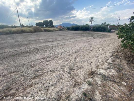 Parcela en la Pulgara ideal para construcción de vivienda unifamiliar - MURCIA