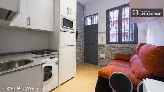 Apartamento de 2 dormitorios en alquiler en Lavapiés - MADRID