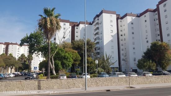 Alquiler de local. Jerez. - CADIZ