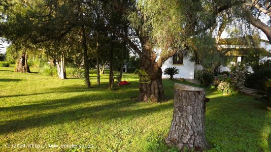 FINCA CON ESTUPENDA CASA EN CARTAYA - HUELVA