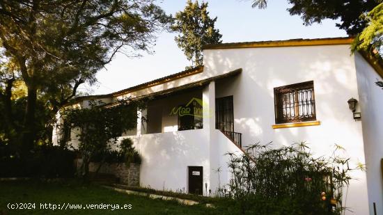 FINCA CON ESTUPENDA CASA EN CARTAYA - HUELVA