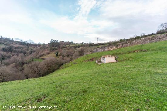 Finca rustica al lado de Oviedo! - ASTURIAS