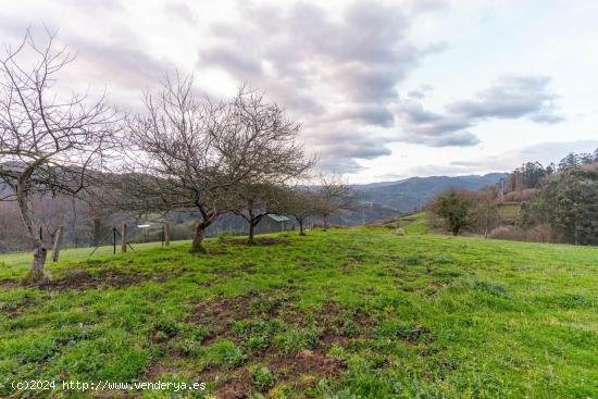 Finca rustica al lado de Oviedo! - ASTURIAS