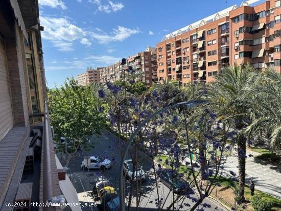 Piso en Venta en Avenida Oscar Espla - ALICANTE