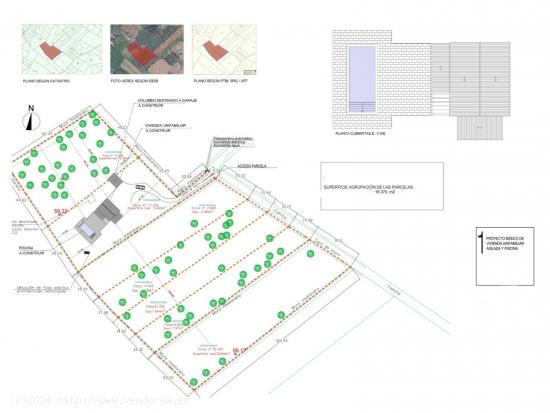 Gran terreno de olivos con proyecto, luz y agua a pocos minutos andando del pueblo de Santanyi - BAL