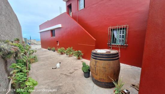 Se vende finca con casa en invernaderos en producción en Tacoronte - SANTA CRUZ DE TENERIFE