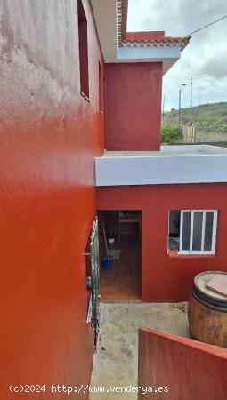 Se vende finca con casa en invernaderos en producción en Tacoronte - SANTA CRUZ DE TENERIFE