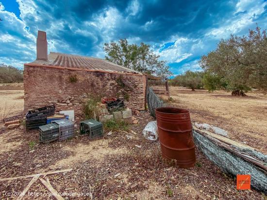 FINCA RUSTICA CON CASA EN VENTA EN SANTA BARBARA (TARRAGONA) - TARRAGONA