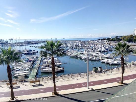  Piso en alquiler en primera línea del Portixol - BALEARES 