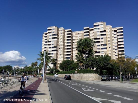 Piso en alquiler en primera línea del Portixol - BALEARES