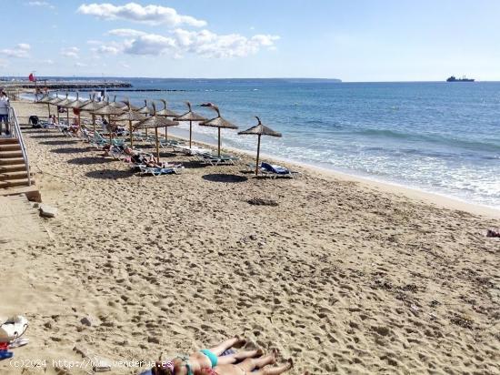 Piso en alquiler en primera línea del Portixol - BALEARES