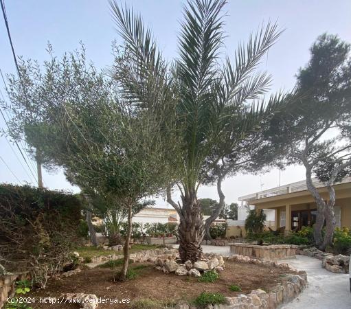 Espaciosa Casa Indipendiente con Jardin a COLONIA DE SANT JORDI - BALEARES