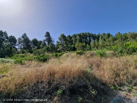 Terreno rural en venta en El Amparo, Icod de los Vinos - SANTA CRUZ DE TENERIFE