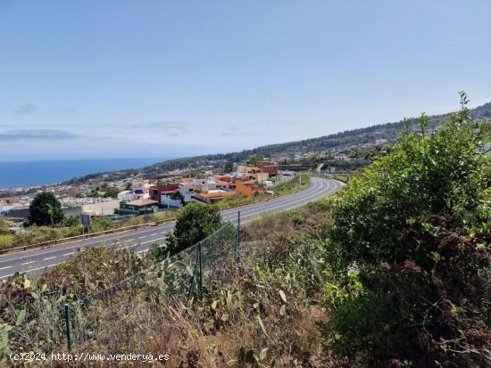 Terreno rural en venta en El Amparo, Icod de los Vinos - SANTA CRUZ DE TENERIFE