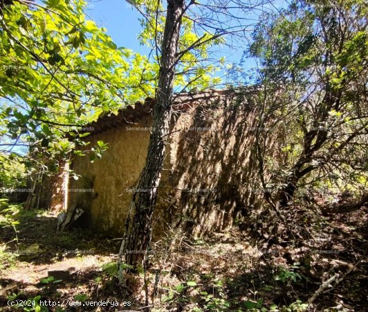 SE VENDE FINCA RÚSTICA EN VENTA EN EL CASTAÑO DEL ROBLEDO (HUELVA) ESPAÑA - Casta