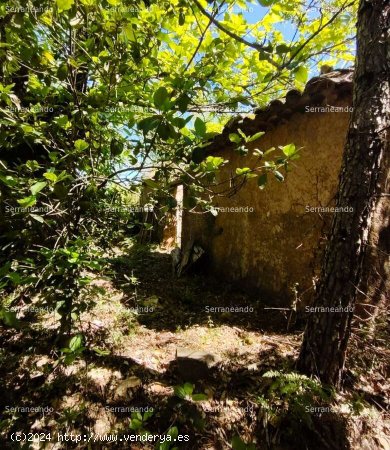 SE VENDE FINCA RÚSTICA EN VENTA EN EL CASTAÑO DEL ROBLEDO (HUELVA) ESPAÑA - Casta