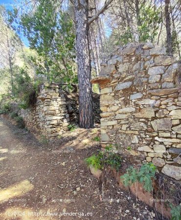 SE VENDE FINCA RÚSTICA EN VENTA EN EL CASTAÑO DEL ROBLEDO (HUELVA) ESPAÑA - Casta