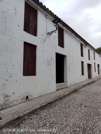  SE VENDE PARCELA EN VENTA EN GALAROZA (HUELVA). ESPAÑA. - Galaroza 