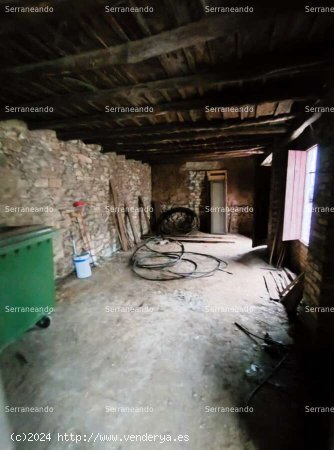 SE VENDE PARCELA EN VENTA EN GALAROZA (HUELVA). ESPAÑA. - Galaroza