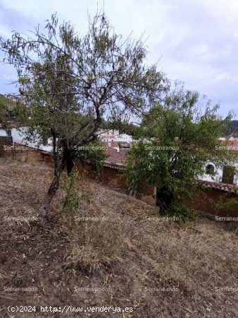 SE VENDE PARCELA EN VENTA EN GALAROZA (HUELVA). ESPAÑA. - Galaroza