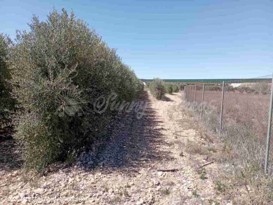 Suelo urbanizable en Venta en Caudete Albacete